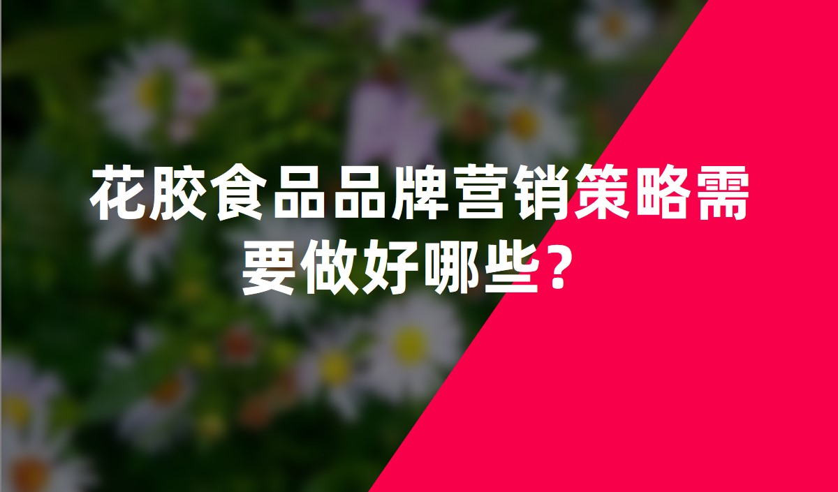 花膠食品品牌營銷策略需要做好哪些？