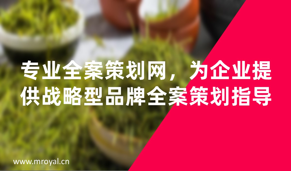 專業(yè)全案策劃網(wǎng)，為企業(yè)提供戰(zhàn)略型品牌全案策劃指導(dǎo)