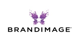 BRANDIMAGE 品牌資產設計公司