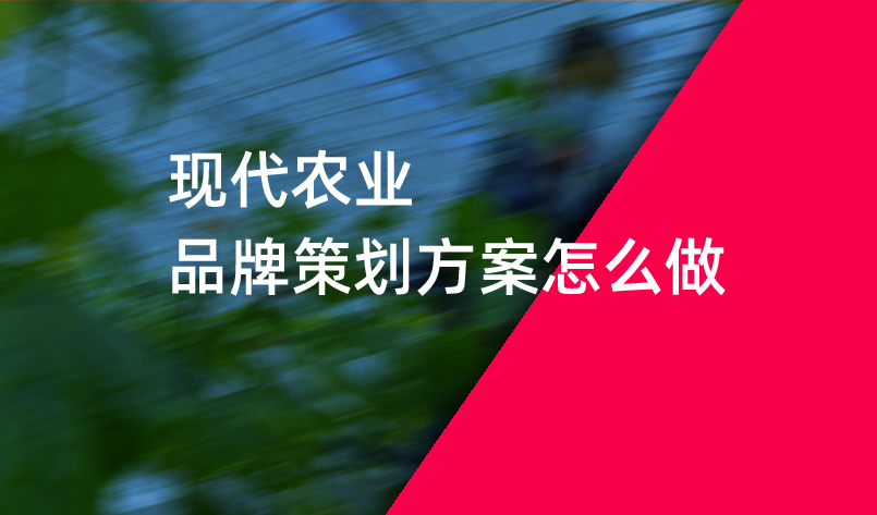 現(xiàn)代農(nóng)業(yè)品牌策劃方案怎么做