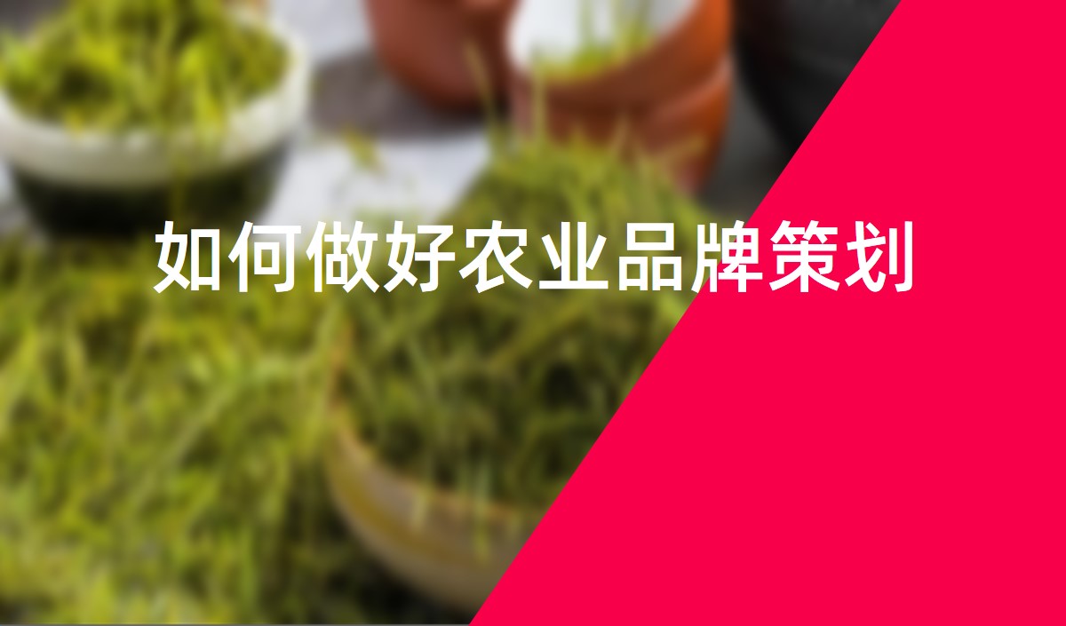 如何做好農(nóng)業(yè)品牌策劃