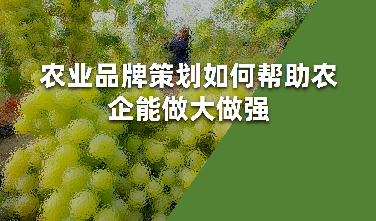 農(nóng)業(yè)品牌策劃如何幫助農(nóng)企能做大做強