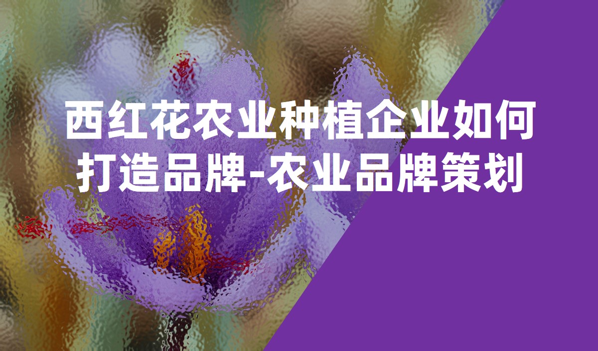 西紅花農(nóng)業(yè)種植企業(yè)如何打造品牌-農(nóng)業(yè)品牌策劃