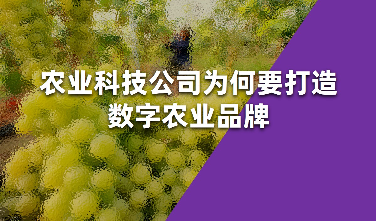 美御農(nóng)業(yè)品牌策劃-農(nóng)業(yè)科技公司為何要打造數(shù)字農(nóng)業(yè)品牌