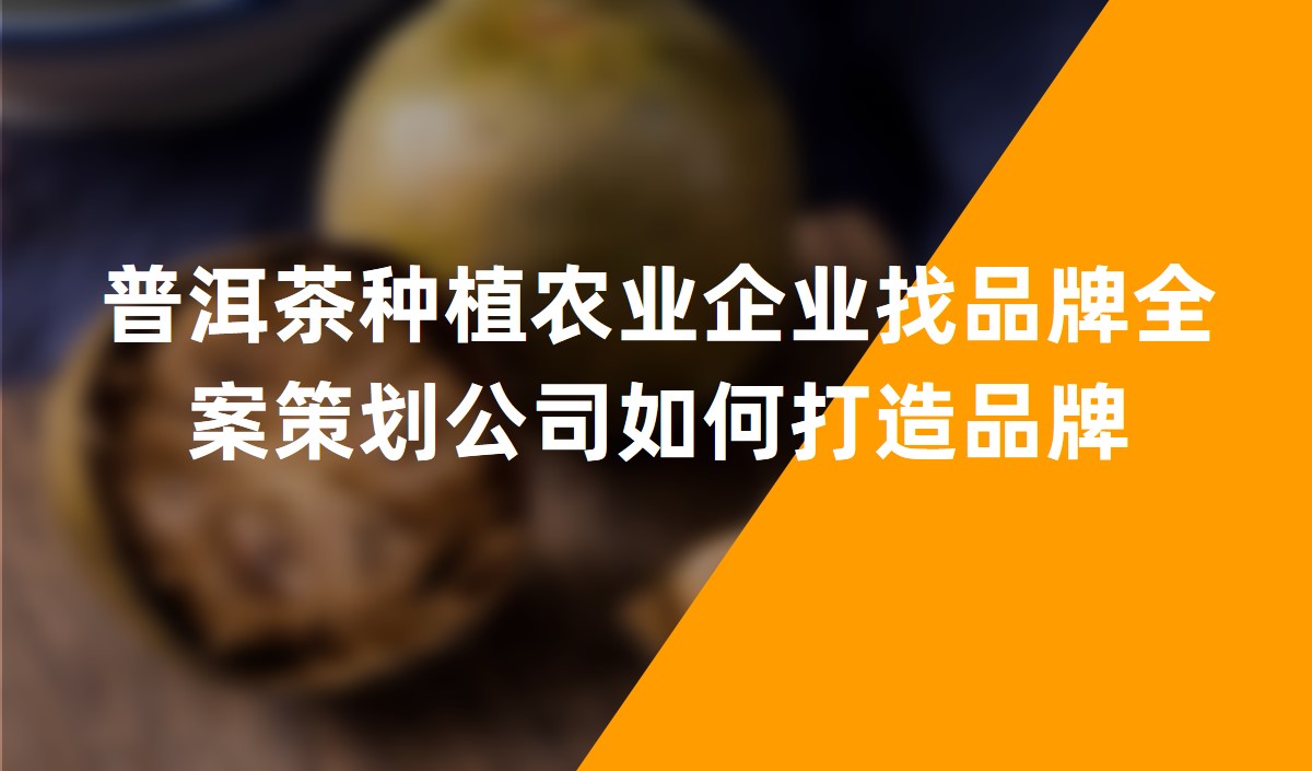 普洱茶種植農(nóng)業(yè)企業(yè)找品牌全案策劃公司如何打造品牌