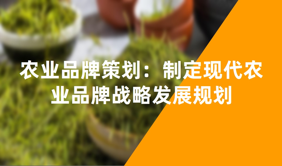 農(nóng)業(yè)品牌策劃：制定現(xiàn)代農(nóng)業(yè)品牌戰(zhàn)略發(fā)展規(guī)劃