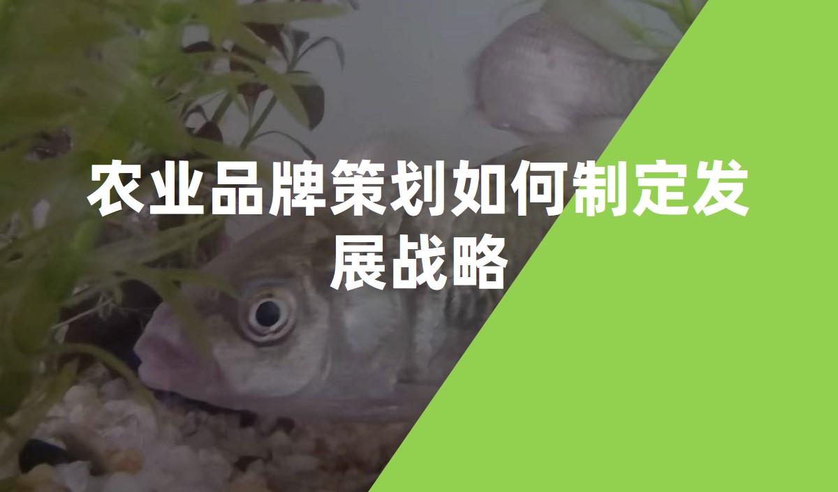 農(nóng)業(yè)品牌策劃如何制定發(fā)展戰(zhàn)略